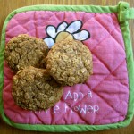 Gluten Free Coconut Oatmeal Cookies