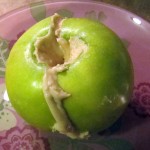 AppleCashewButter