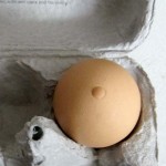 eggOutie